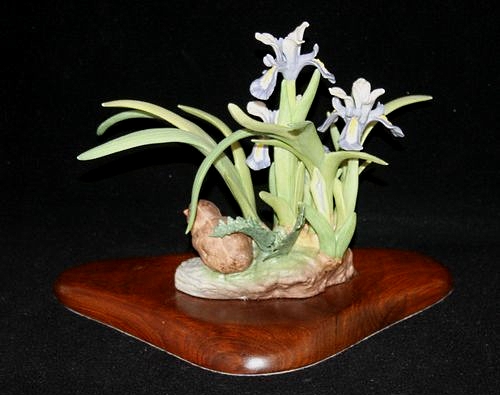 american-crested-iris-view-2