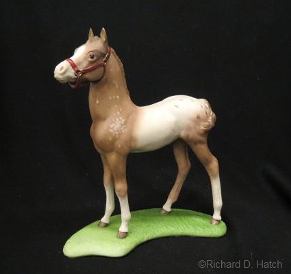 APPALOOSA COLT by Cybis