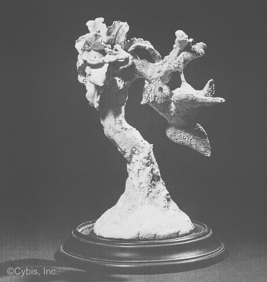 BIRD ON ROSE TREE early 1940s papka by Cybis