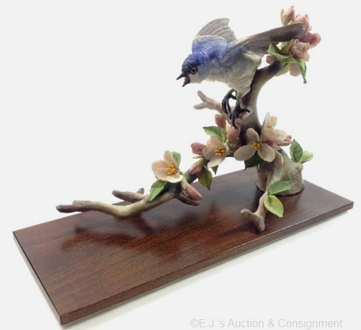 BLUE GRAY GNATCATCHERS male by Cybis