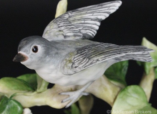 Blue Headed Vireo detail 1