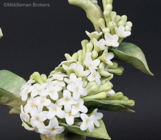 Blue Headed Vireo detail 2