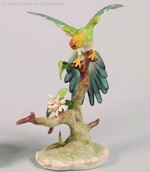 Caroquet Paroquet male parakeet by Cybis