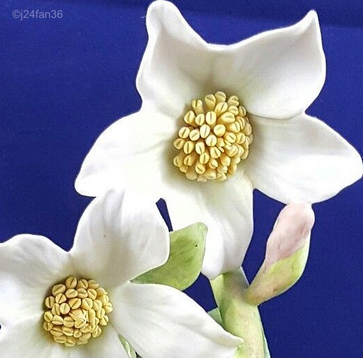 Christmas Rose later version