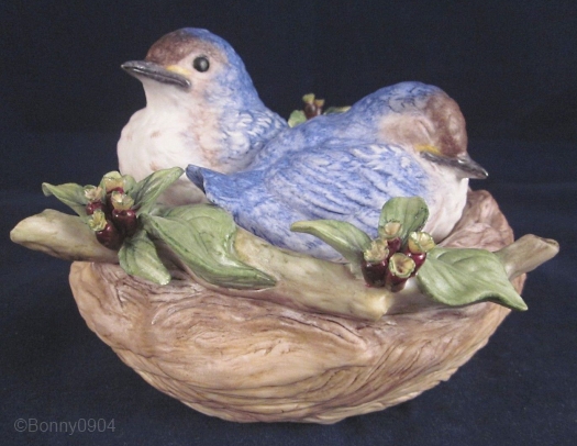 NESTLING BLUEBIRDS ON COCKSPUR HAWTHORN by Cybis