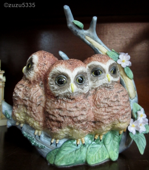 NESTLING OWLS HARRIET HAWK AND HOOD by Cybis