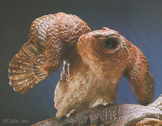 Screech Owl and Siblings detail 1
