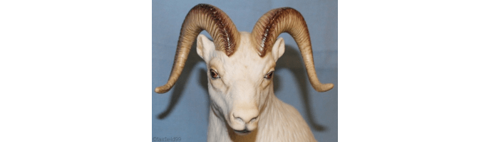 The Rest of the Cybis&nbsp;Menagerie